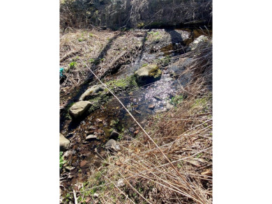 (private lake, pond, creek) Lot For Sale in Haines Falls New York