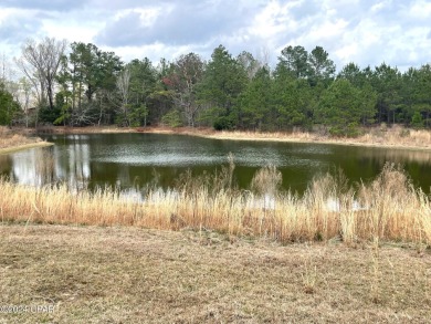 (private lake, pond, creek) Acreage For Sale in Ponce De Leon Florida