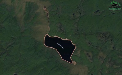 Iksgiza Lake Acreage For Sale in Manley Hot Springs Alaska
