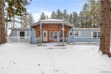 Lake Home For Sale in Varysburg, New York