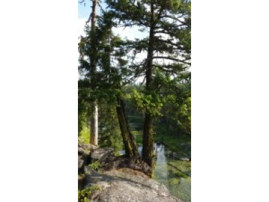 Baker Lake Washington / 39 acres - photo 4