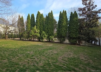 Come and see this recently refreshed, spacious Hi-Ranch in - photo 7