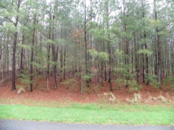 Badin Lake Lot For Sale in New London North Carolina