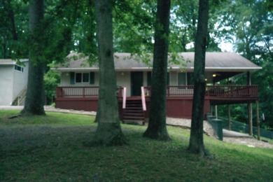 Raccoon Lake, Lake Access - photo 2