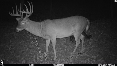 Just outside of Independence, Kansas sits 286+/- acre timber and - photo 1