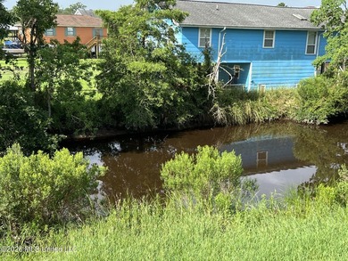 Two level home facing water front canal, fish from your backyard - photo 3