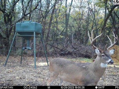 Just outside of Independence, Kansas sits 286+/- acre timber and - photo 5