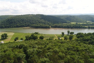 Discover a rare investment paradise overlooking the White River - photo 1