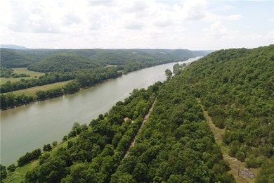 Discover a rare investment paradise overlooking the White River - photo 2