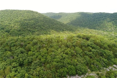 Discover a rare investment paradise overlooking the White River - photo 4