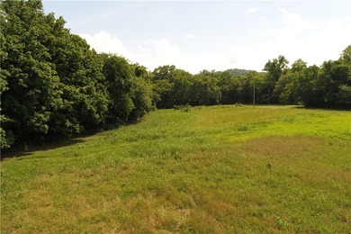 Discover a rare investment paradise overlooking the White River - photo 6
