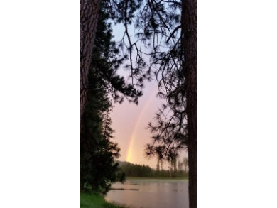 Baker Lake Washington / 39 acres - photo 10