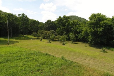 Discover a rare investment paradise overlooking the White River - photo 8