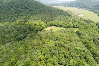Discover a rare investment paradise overlooking the White River - photo 9