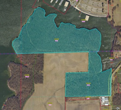 Lake Acreage For Sale in Weldon, Illinois