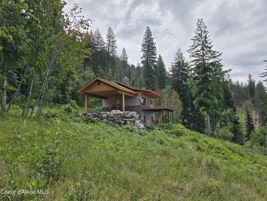 Mountain-Top Lake View Home on 13 Acres Bordering National - photo 2