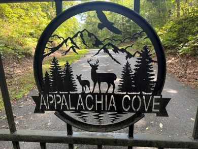 Lake Lot For Sale in Murphy, North Carolina