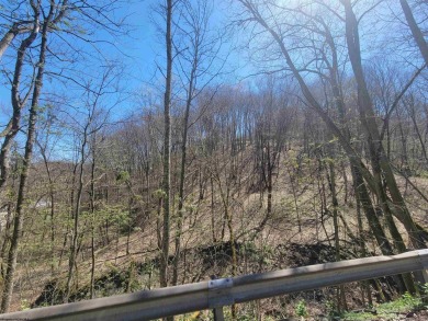  Commercial For Sale in Fairmont West Virginia