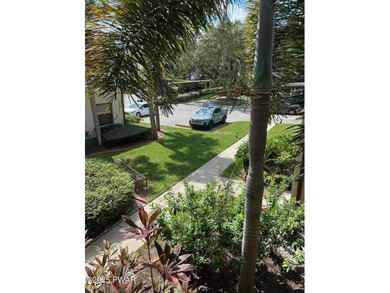 2611 Hammock Ct, Clearwater, FL 33761 in Hammock Pine - photo 3
