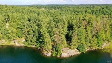 Sixberry Lake Acreage For Sale in Redwood New York