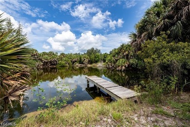 A Dream Historic property... 7.5 Acres in Bokeelia Built in 1949 - photo 15