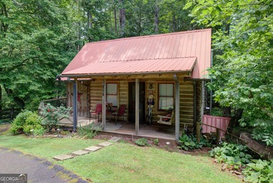 (private lake, pond, creek) Home For Sale in Tiger Georgia