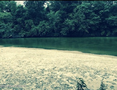 Escape to your own private retreat on this beautiful property - photo 2
