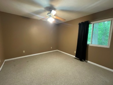 Raccoon Lake, Lake Access - photo 25
