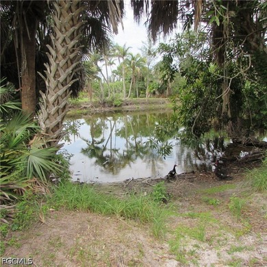 A Dream Historic property... 7.5 Acres in Bokeelia Built in 1949 - photo 35