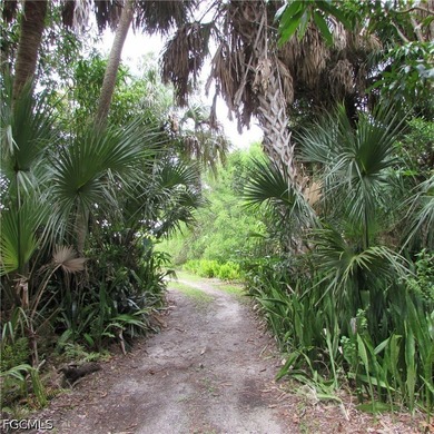 A Dream Historic property... 7.5 Acres in Bokeelia Built in 1949 - photo 41