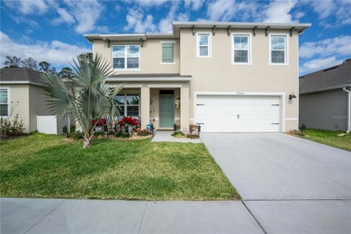 Buck Lake - Osceola County Home For Sale in Harmony Florida