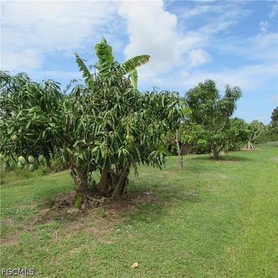 A Dream Historic property... 7.5 Acres in Bokeelia Built in 1949 - photo 47