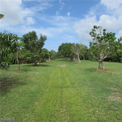 A Dream Historic property... 7.5 Acres in Bokeelia Built in 1949 - photo 48