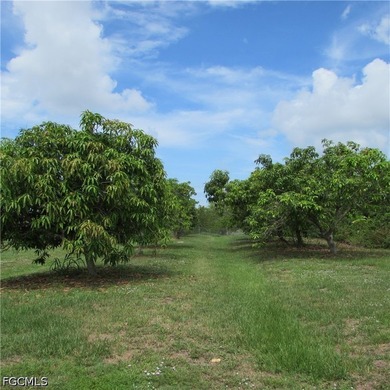 A Dream Historic property... 7.5 Acres in Bokeelia Built in 1949 - photo 49