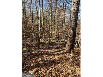Lake Lot For Sale in Gainesville, Georgia