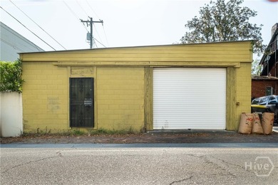 Set in Savannah's Historic Landmark District, 711 Tattnall - photo 4