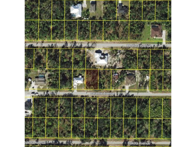 Port Charlotte Waterway Area Lot For Sale in Port Charlotte Florida