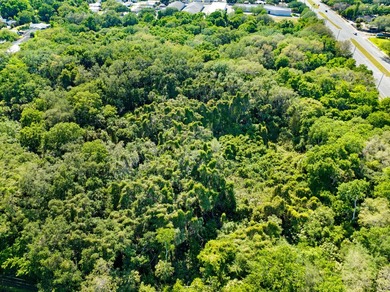 Prime commercial opportunity in a fast-growing corridor. This 6 - photo 13