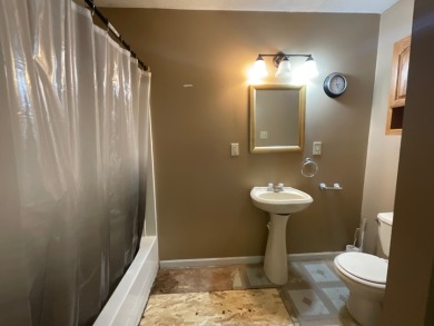 Raccoon Lake, Lake Access - photo 27