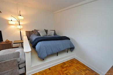 Only 10% down for this Stunning Renovated Co-op Studio Close to - photo 21