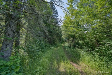 This 80-acre property is situated within the Ottawa National - photo 27