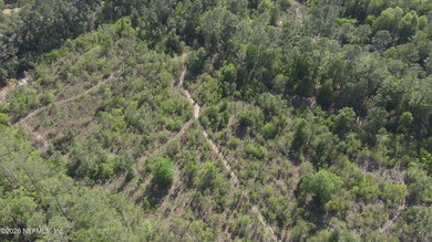 18.24 acres located off US Highway 301, in the Maxville/Baldwin - photo 1