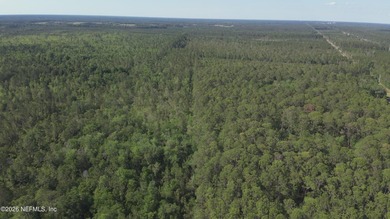 18.24 acres located off US Highway 301, in the Maxville/Baldwin - photo 4