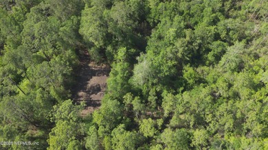 18.24 acres located off US Highway 301, in the Maxville/Baldwin - photo 6