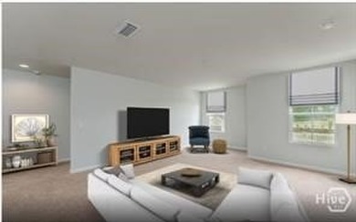 Welcome to the Whimbrel floorplan in the brand new Willis Field - photo 7