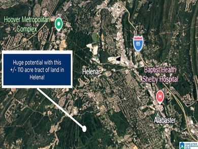 (private lake, pond, coastal) Acreage For Sale in Helena Alabama