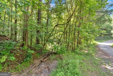 Lake Acreage For Sale in Talking Rock, Georgia