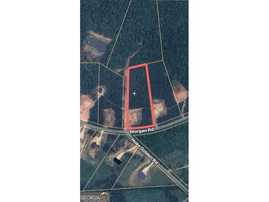 Lake Home For Sale in Bremen, Georgia