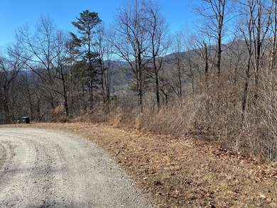Valley River Lot For Sale in Marble North Carolina