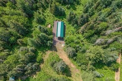 This 120-acre property is situated within the Ottawa National - photo 16